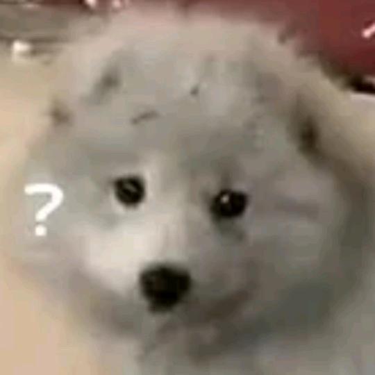 哦耶