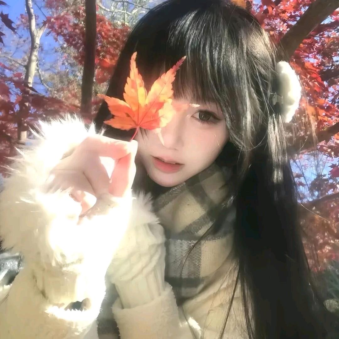 海棠无香