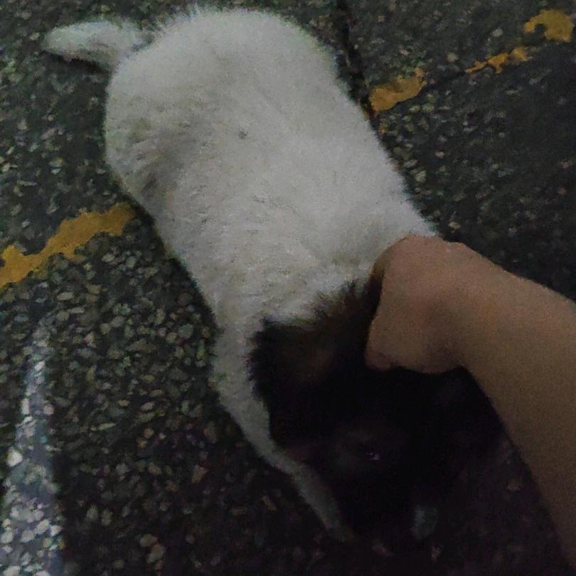 ？♥