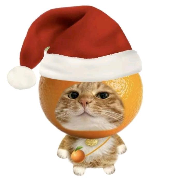 bear（同款置顶）