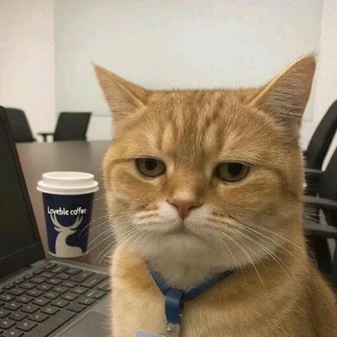 萌了个萌宠物饰品（接批发）