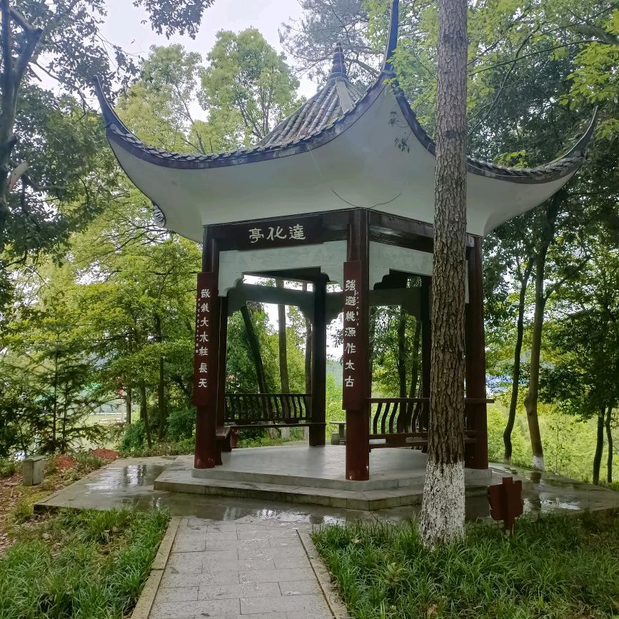 时光飞逝