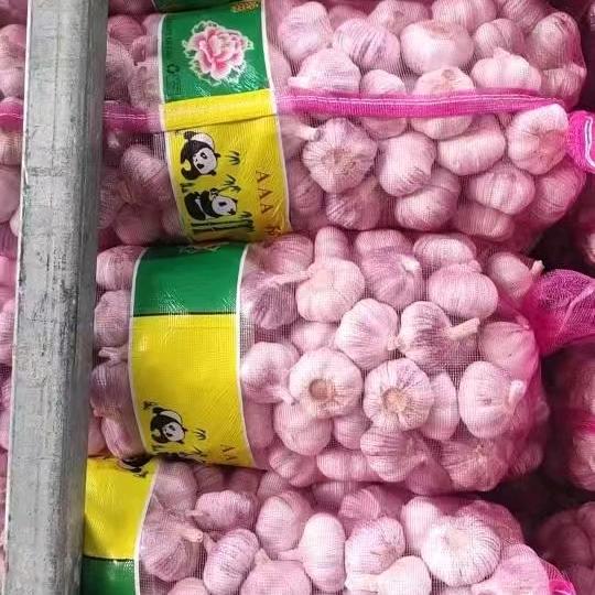 金乡恒祥（蒜老四）产地代办