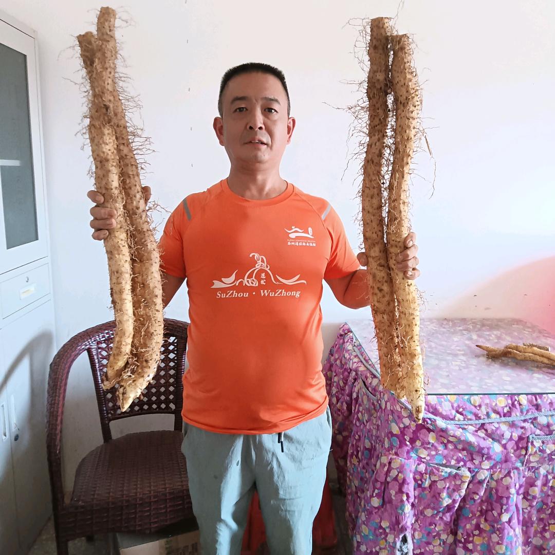 刘豪杰青树坪淮山