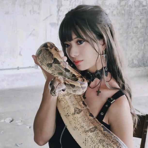 香港🇭🇰爬爬媚🐍🐜🐜🐜