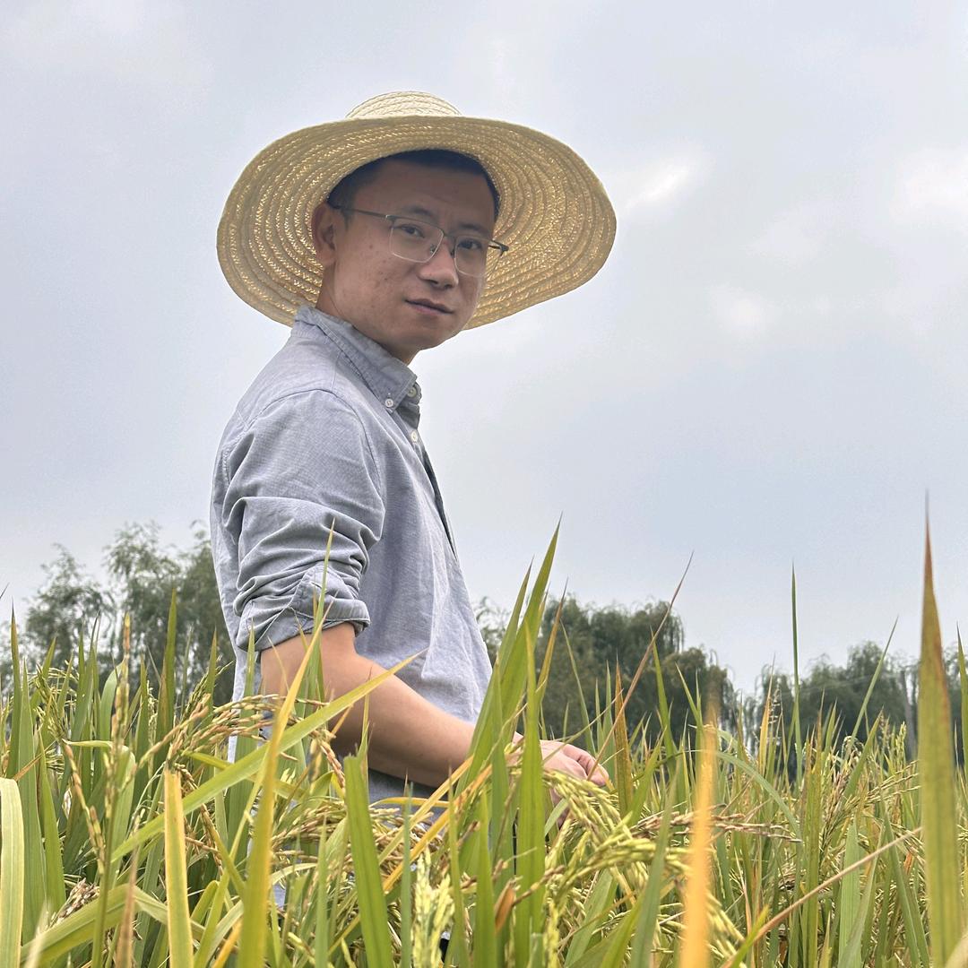 新康夏哥（返乡助农）