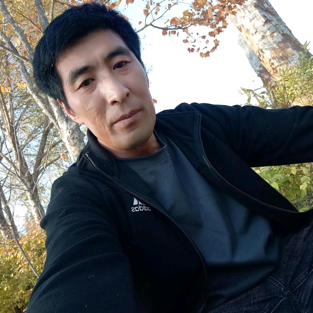 张哥专业收割玉米