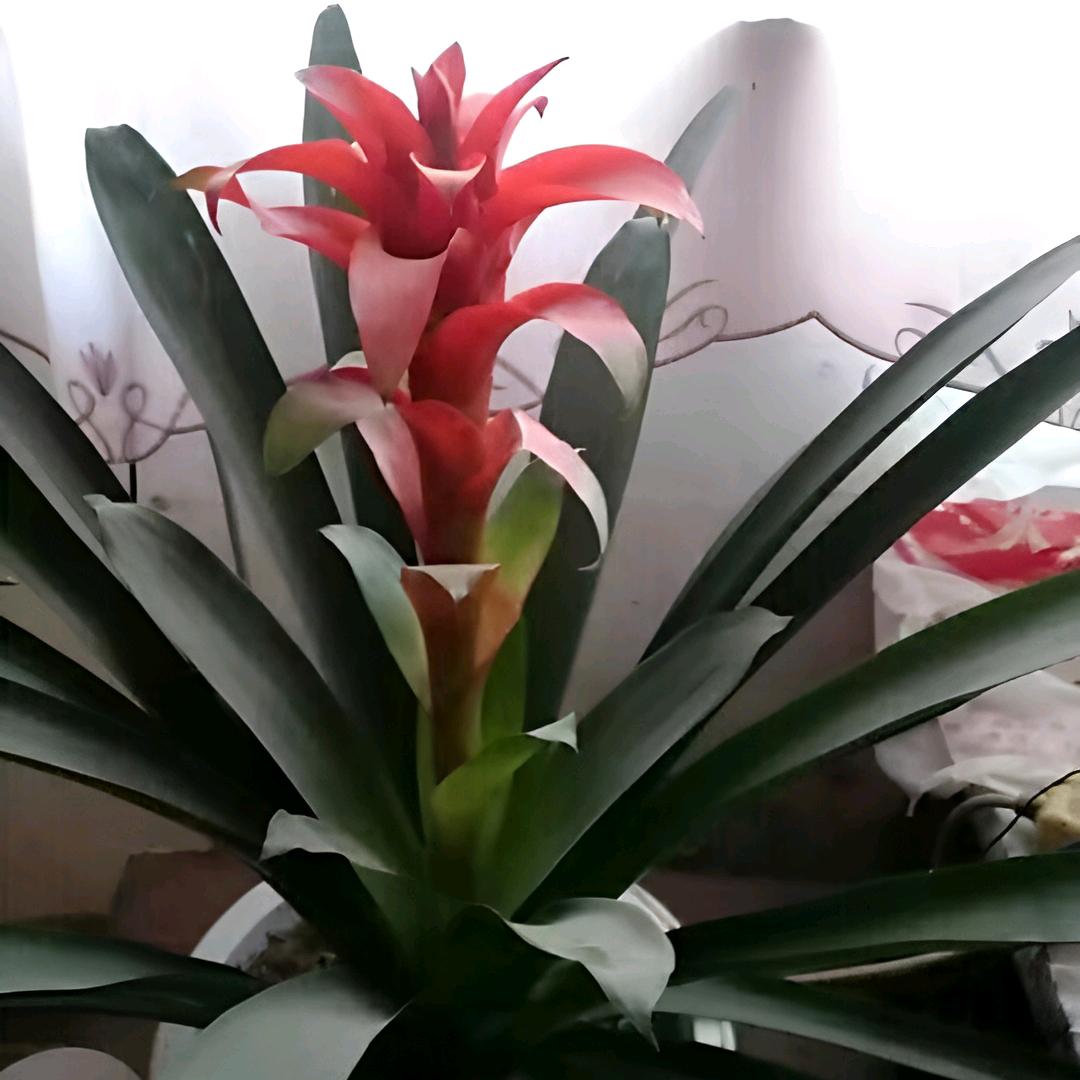 珍惜