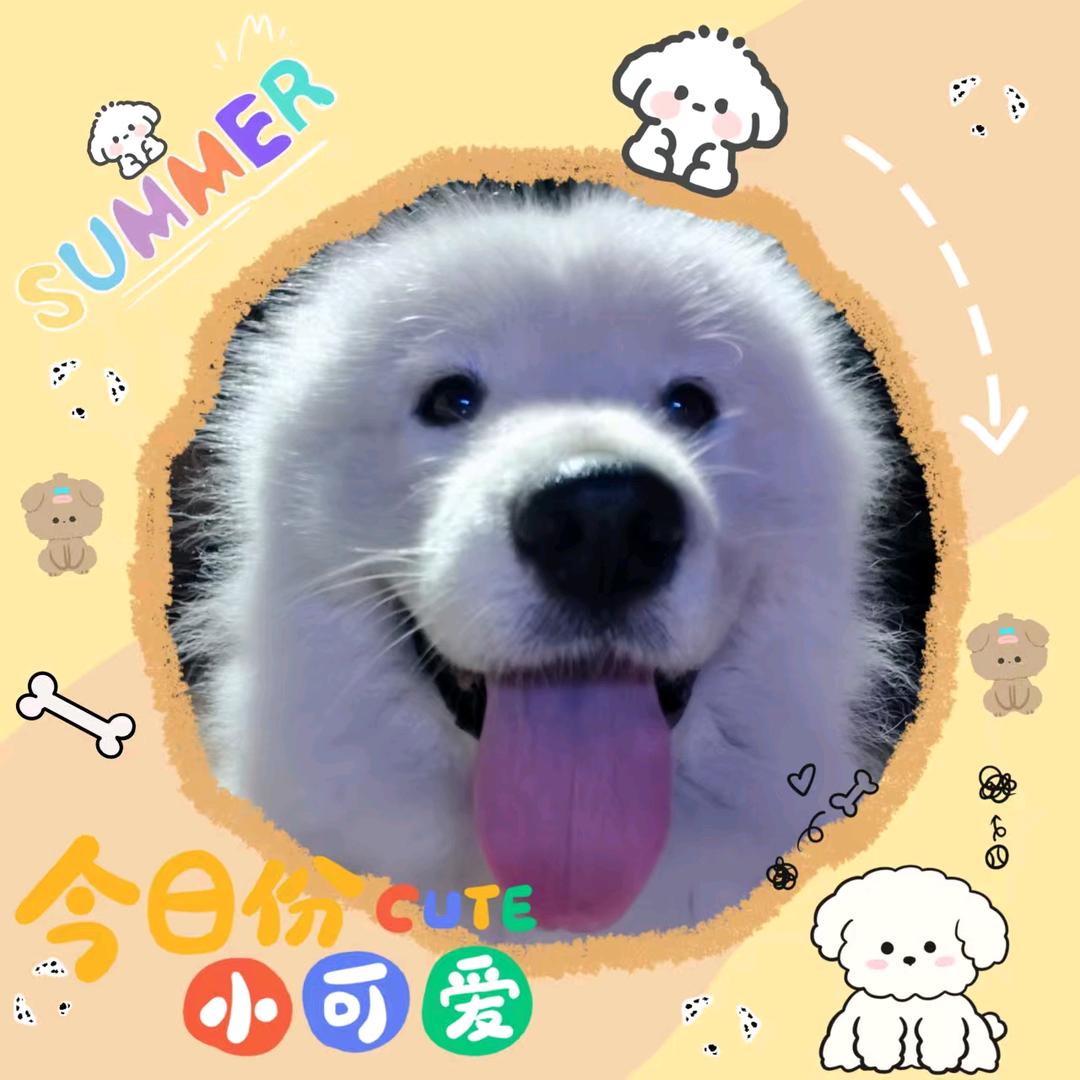 李瘦瘦
