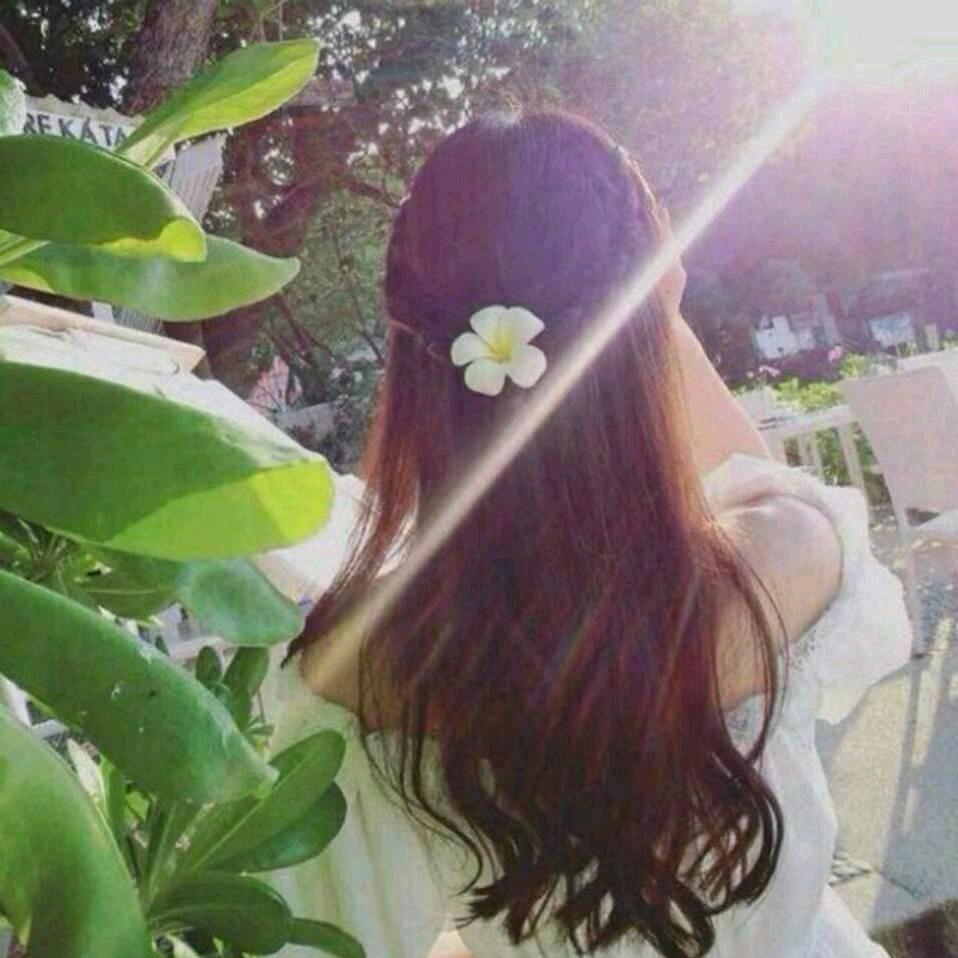 @东菊