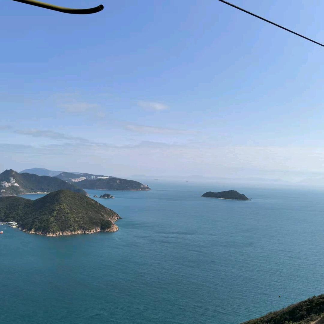 鸿掬微