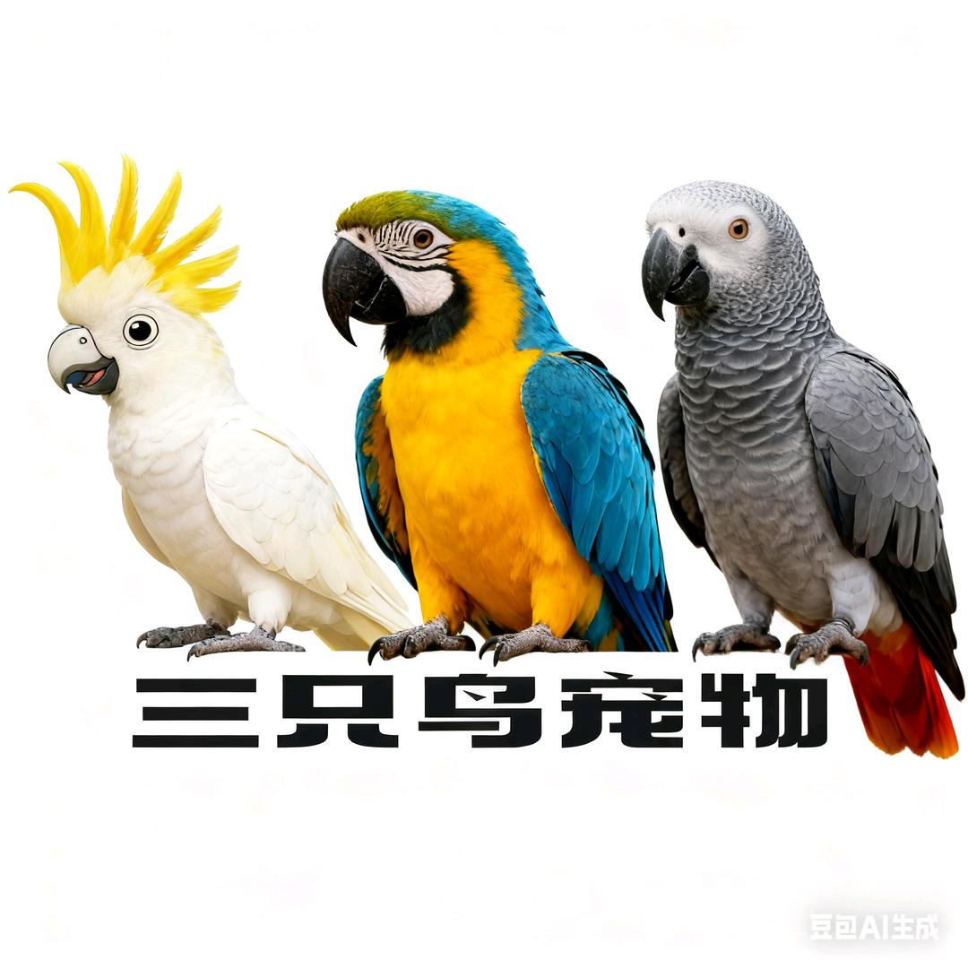 郑州三只鸟宠物（鸟粮直播号）