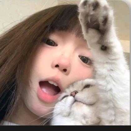猫咪🐱