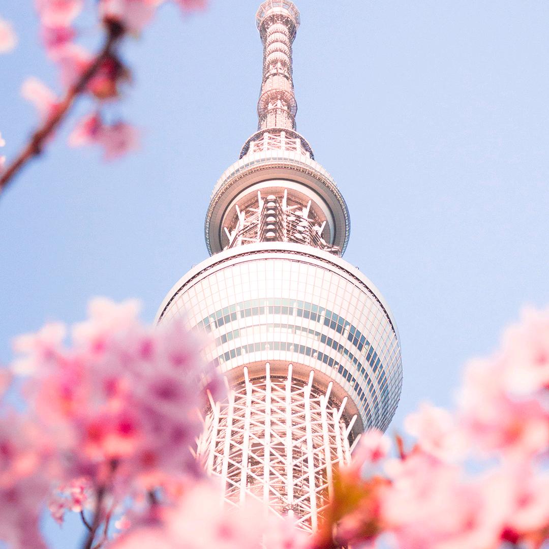 九号—天津市北辰区双街九号店