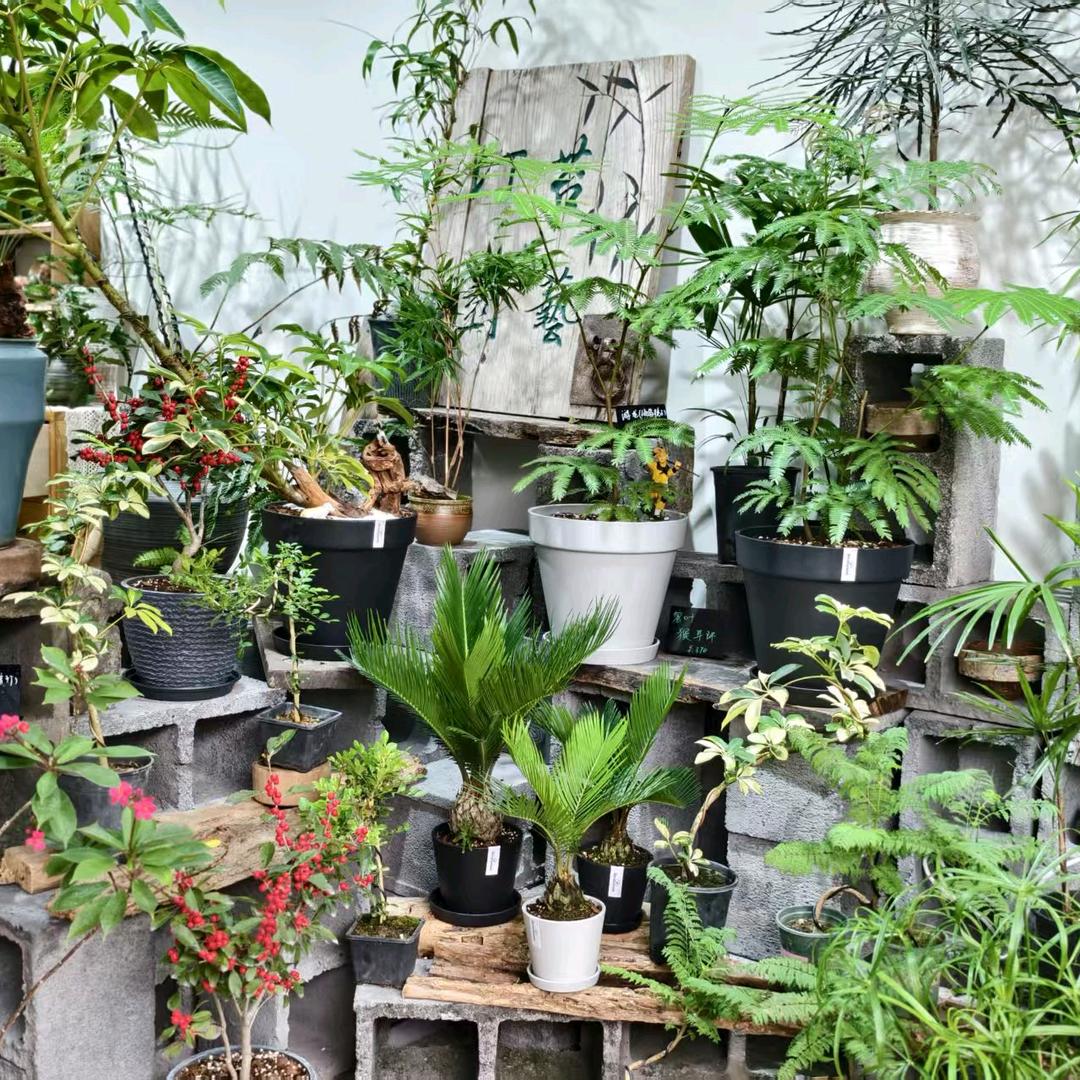 开封汀苔生态景观