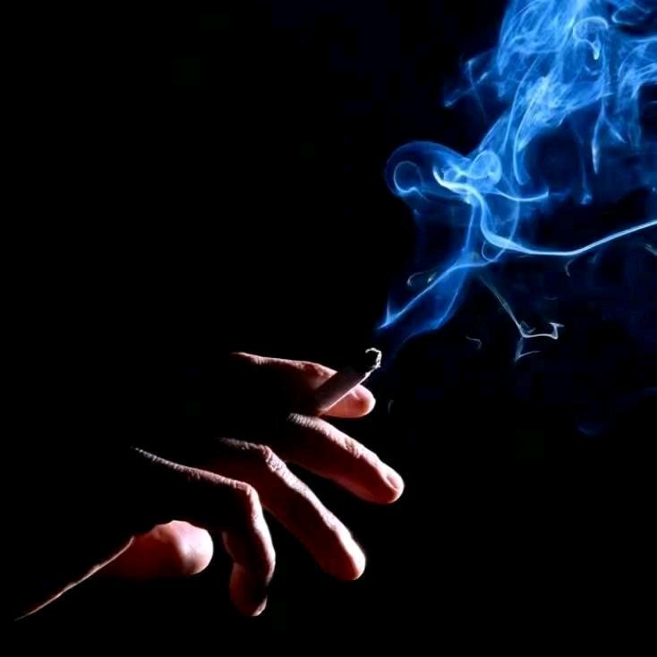 ᝰbєᧁⅈꪀ ᵉⁿᵈ ～