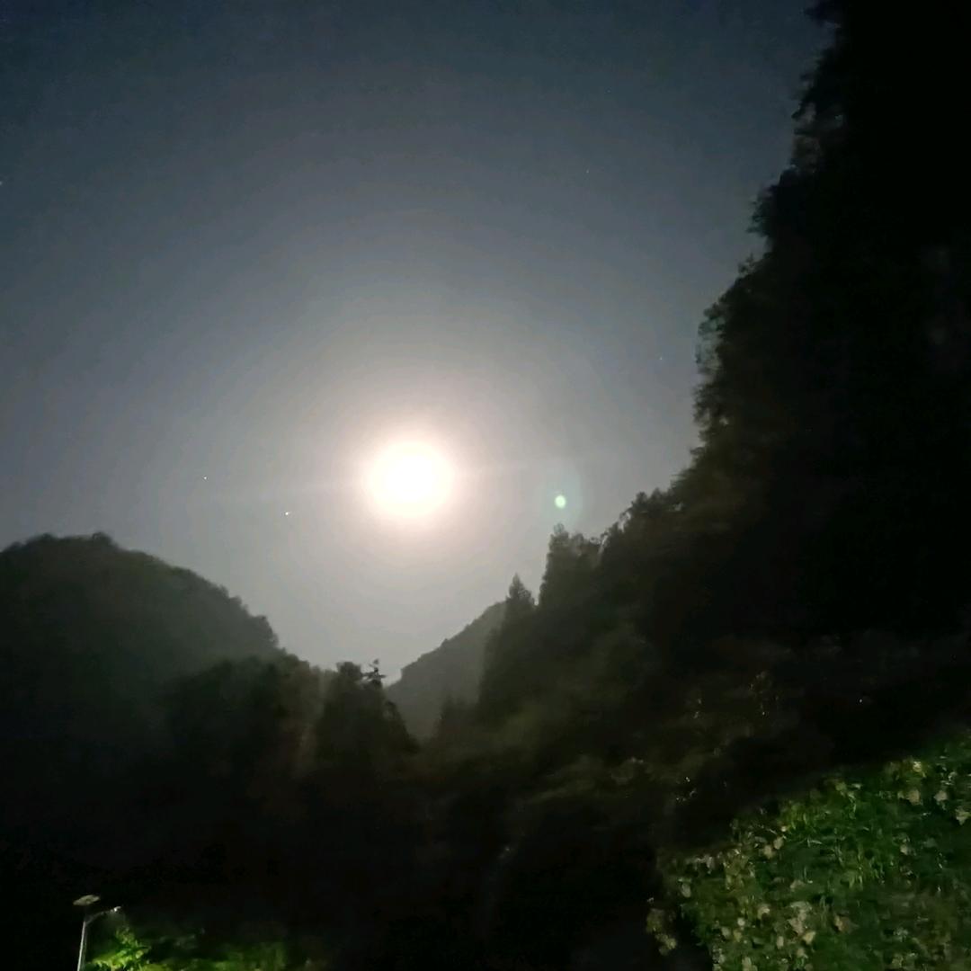 旭日东升