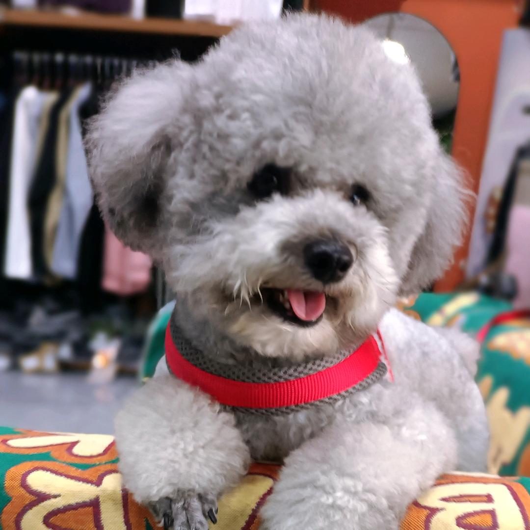 ✨姐来了😁
