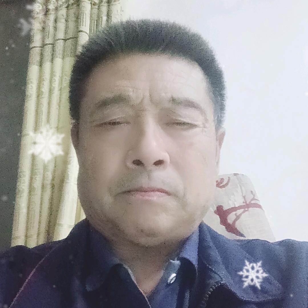 岁岁重陽