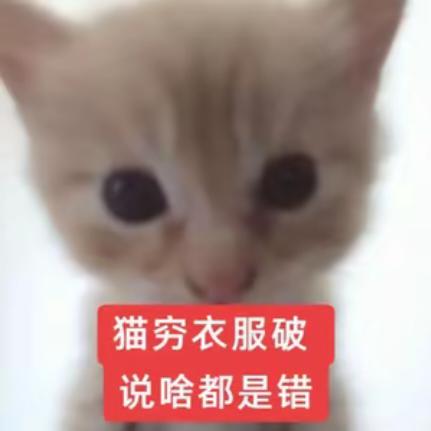 穿红裤衩开拖拉机