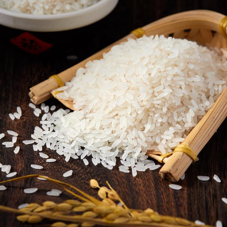 真丫丫❤️心选