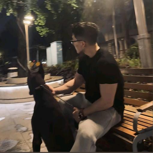 诗和远方.