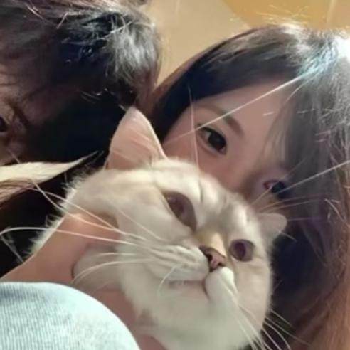 玲ෆ̈