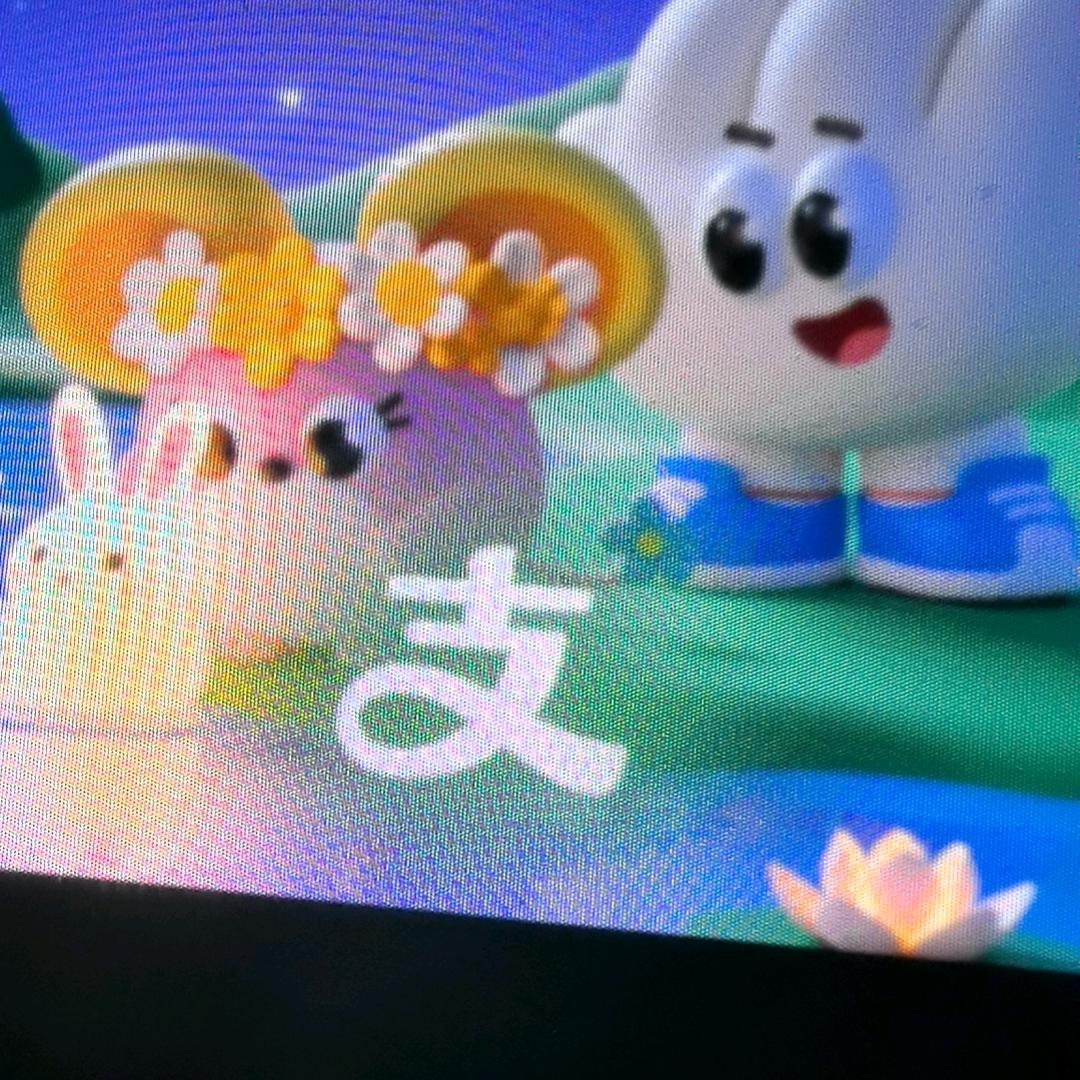 🍁枫叶红了🍁