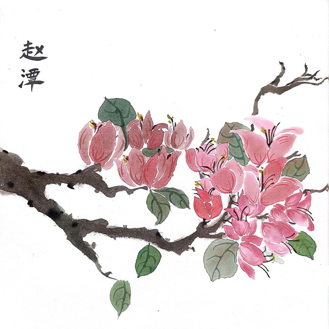 赵远@
