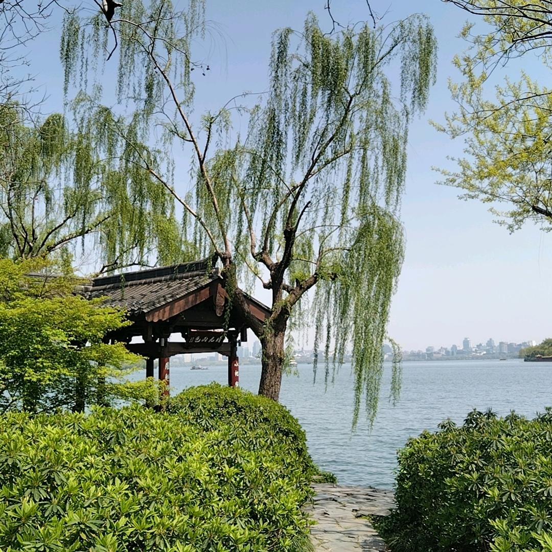 华尔村