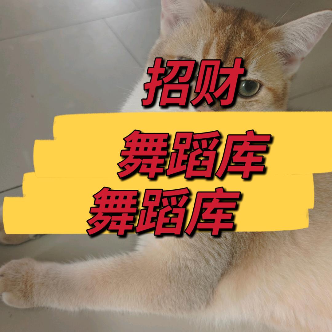 招财舞蹈库