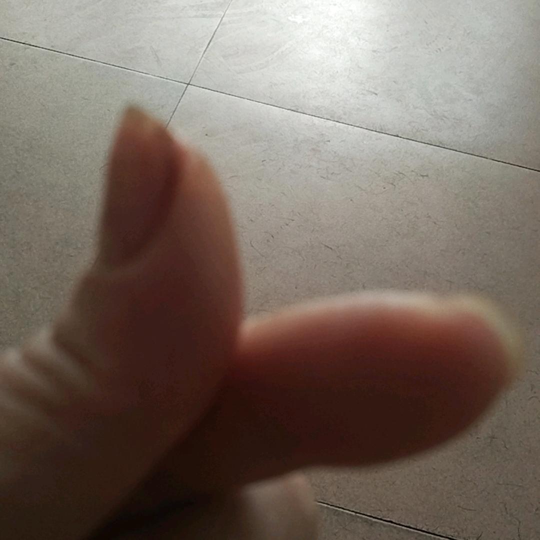 小燕子