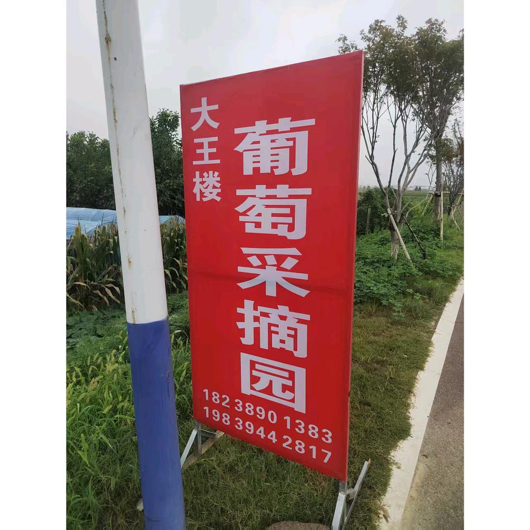 博涵奶奶