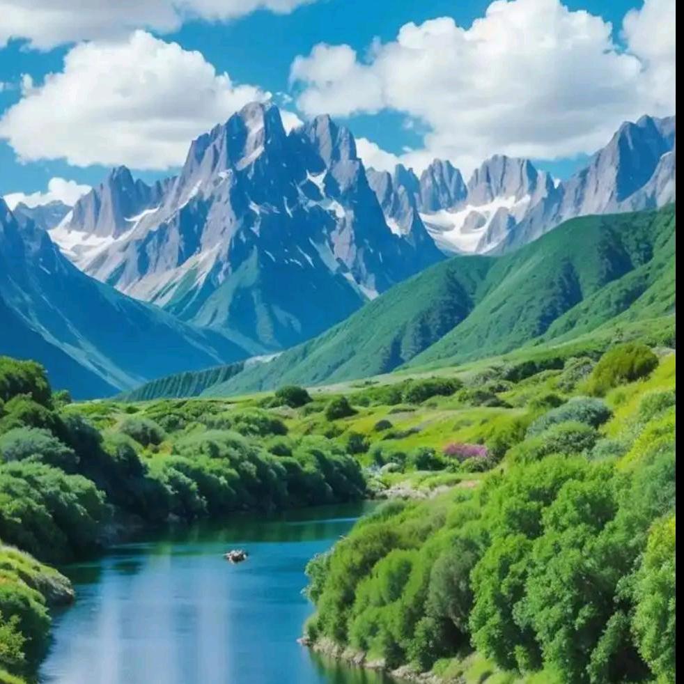 智合云枢生活号