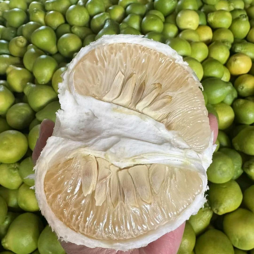 金柚销售陈平，