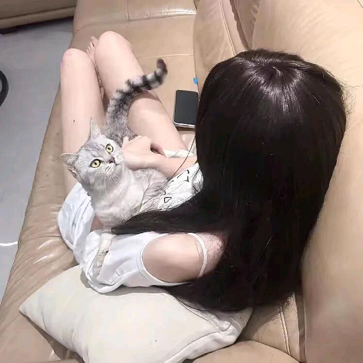 申鹤
