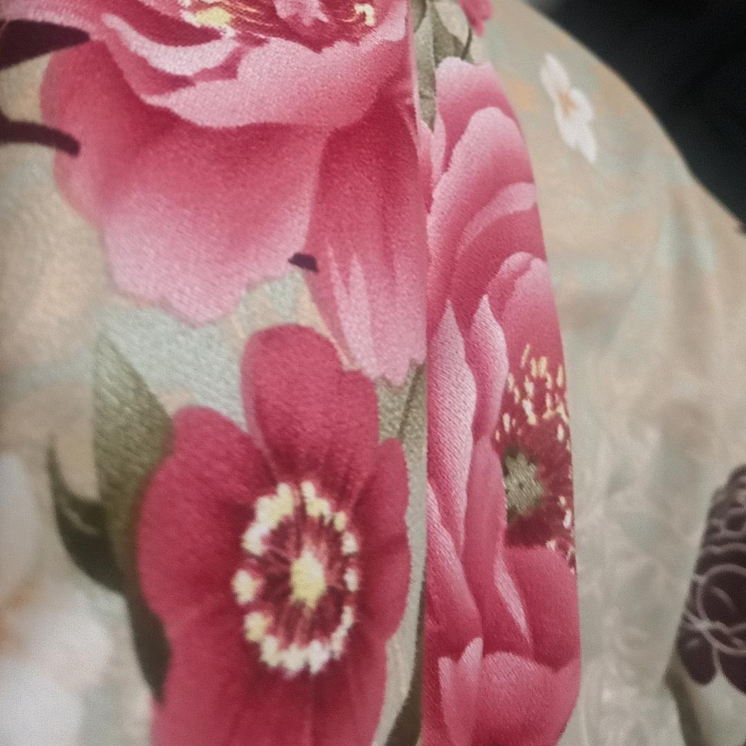 出淤泥而不染