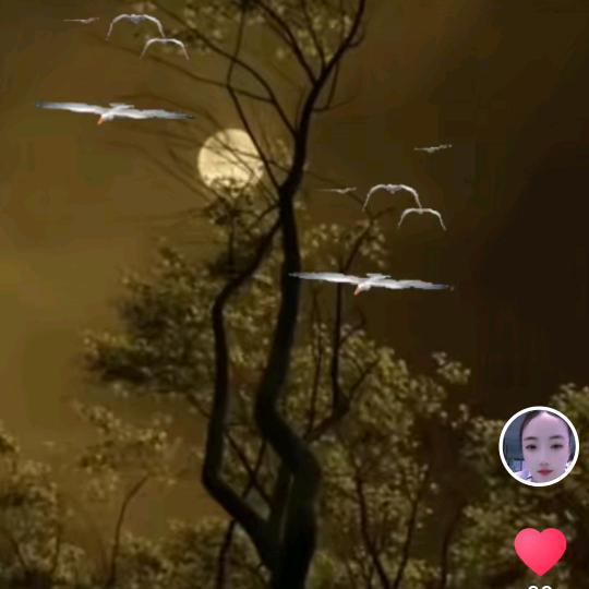 (❁´◡`❁)无意闯进🧚🏻绝情谷🌷