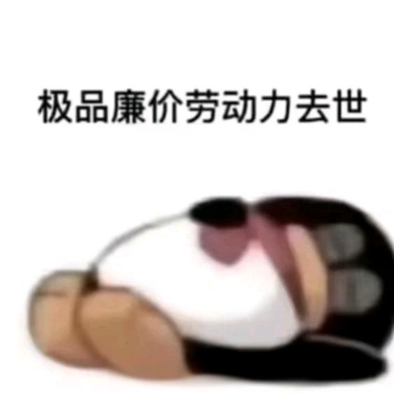 春赏百花冬观雪
