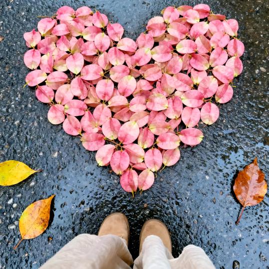 : ໑ຼₒ₂₄ღ᭄傻丫头?