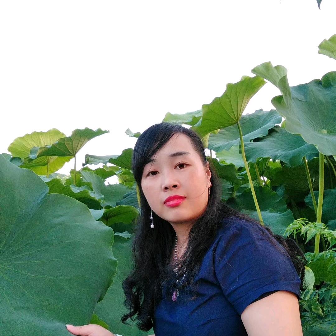 春兰的摆摊日常