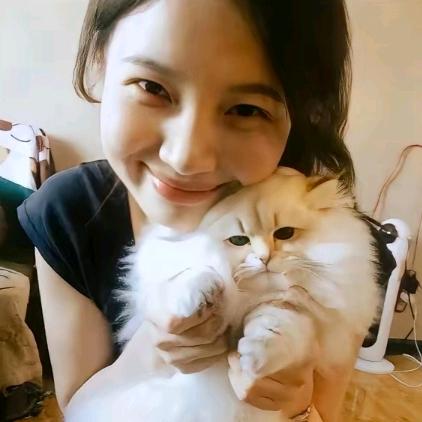 霥婷.