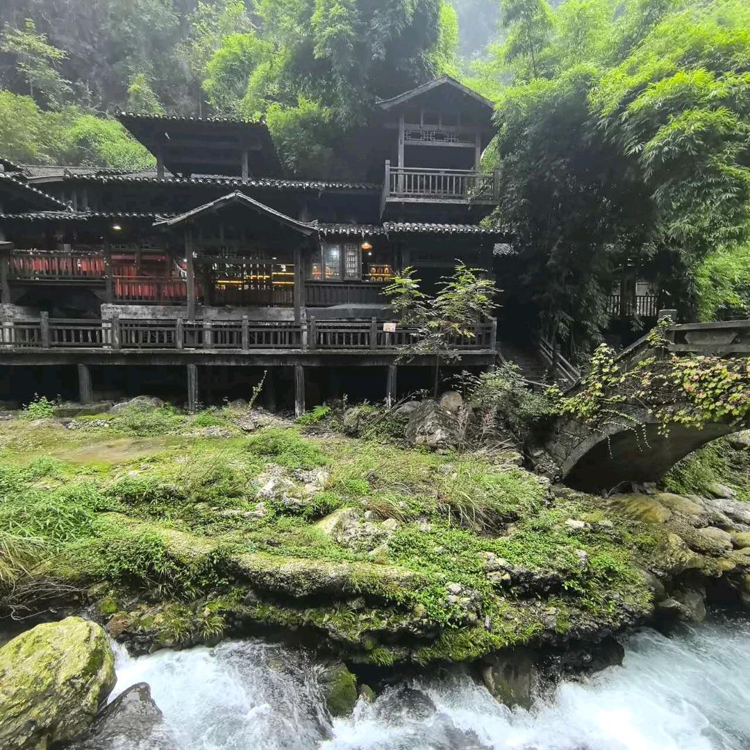 满山红