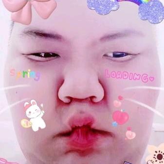 色树沟的一头猪