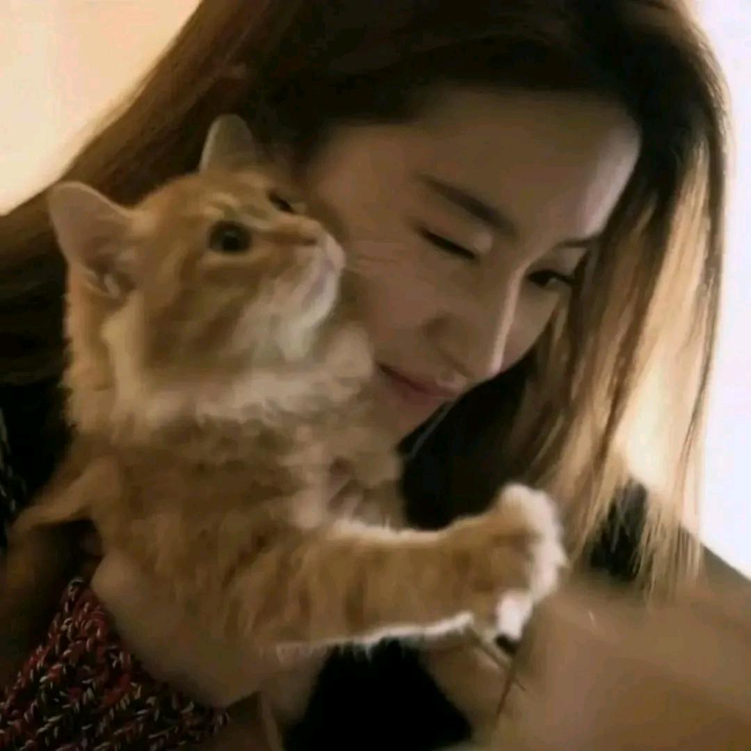一口 卷馨菜