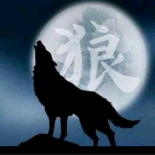狼哥动物世界