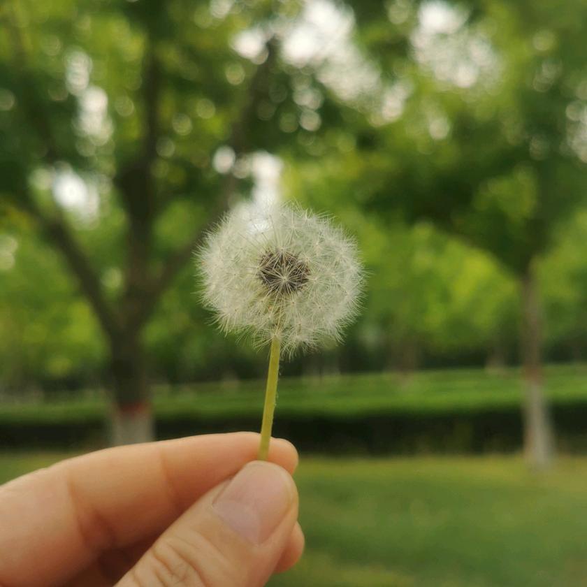 云朵☁