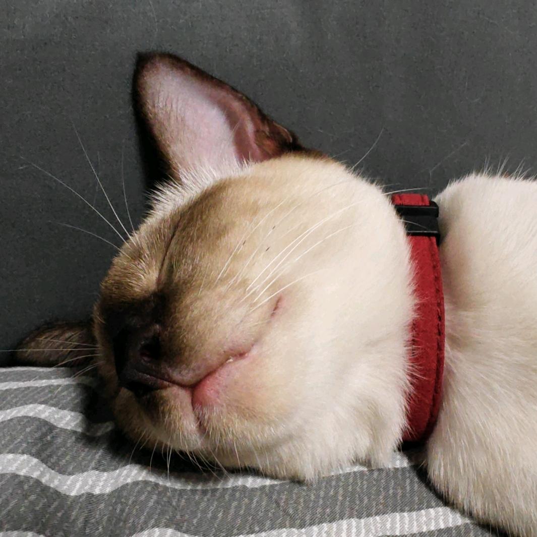 我真的很想吃双层吉士汉堡