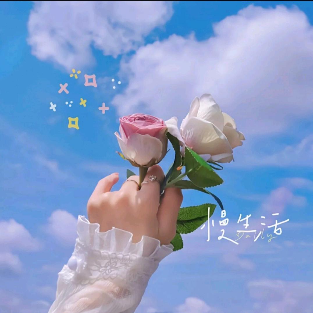 淺可兒