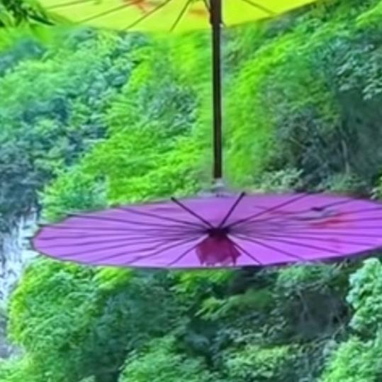 @💗᭄ღ ✨忘忧✨